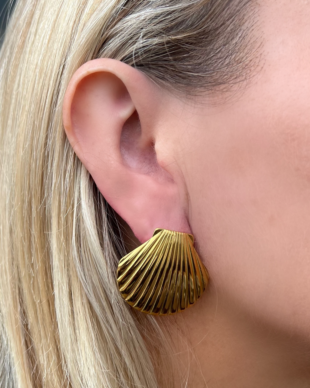 Izoa Seashell Stud Earrings