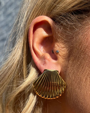 Izoa Seashell Stud Earrings