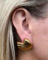 Izoa Shelly Stud Earrings Gold