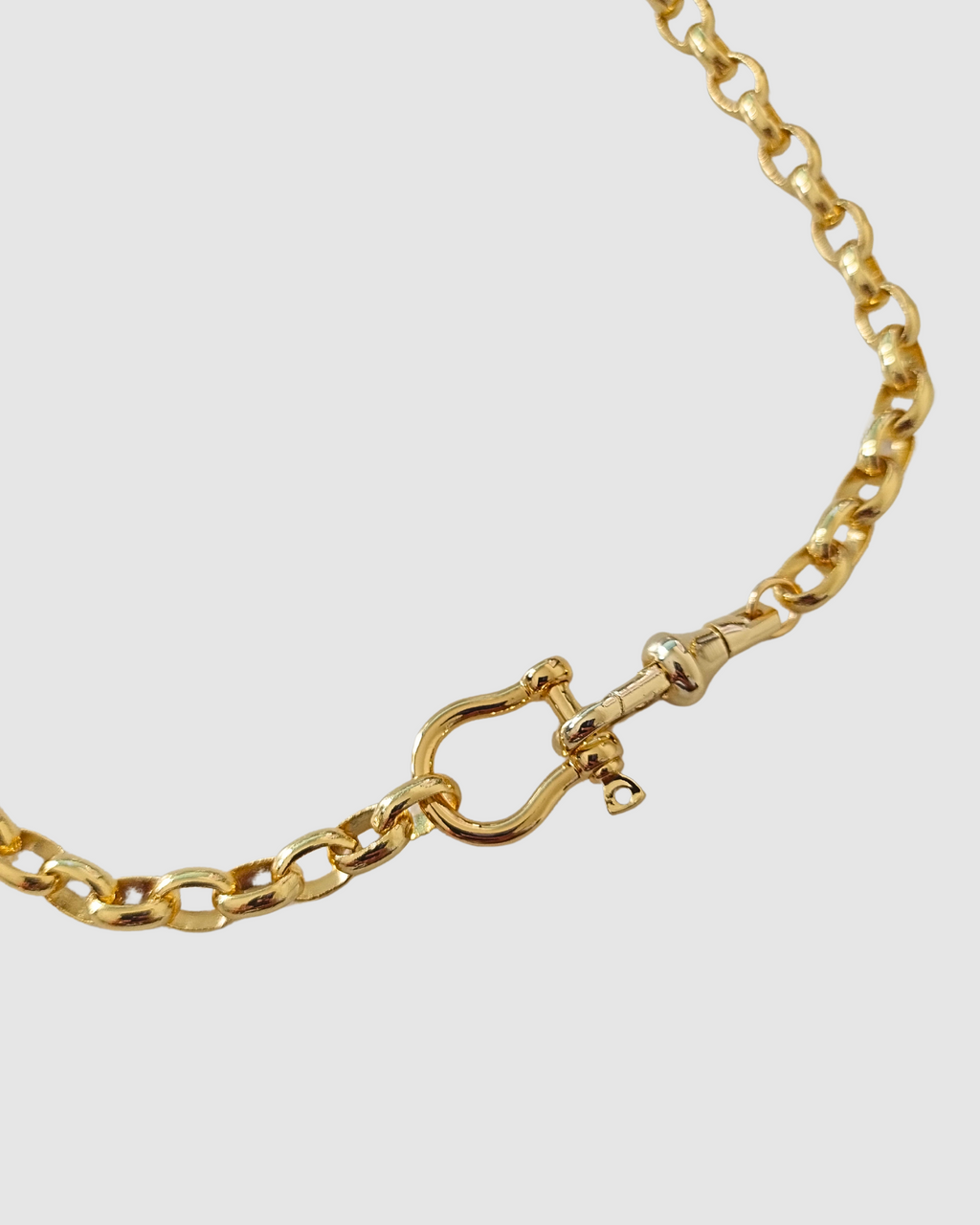 Izoa Natasha Chain Necklace Gold