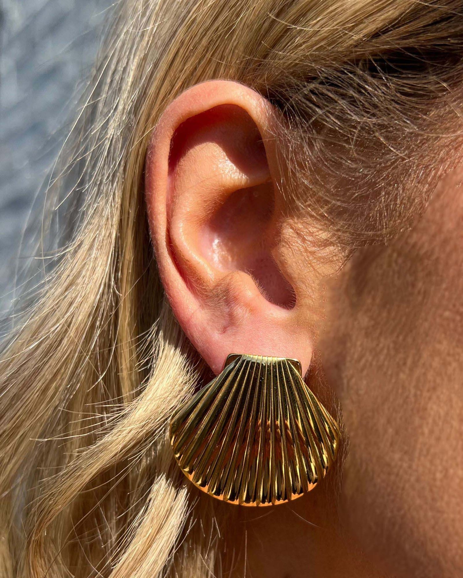 Izoa Seashell Stud Earrings