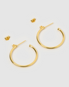 Izoa Sage Hoop Earrings Gold